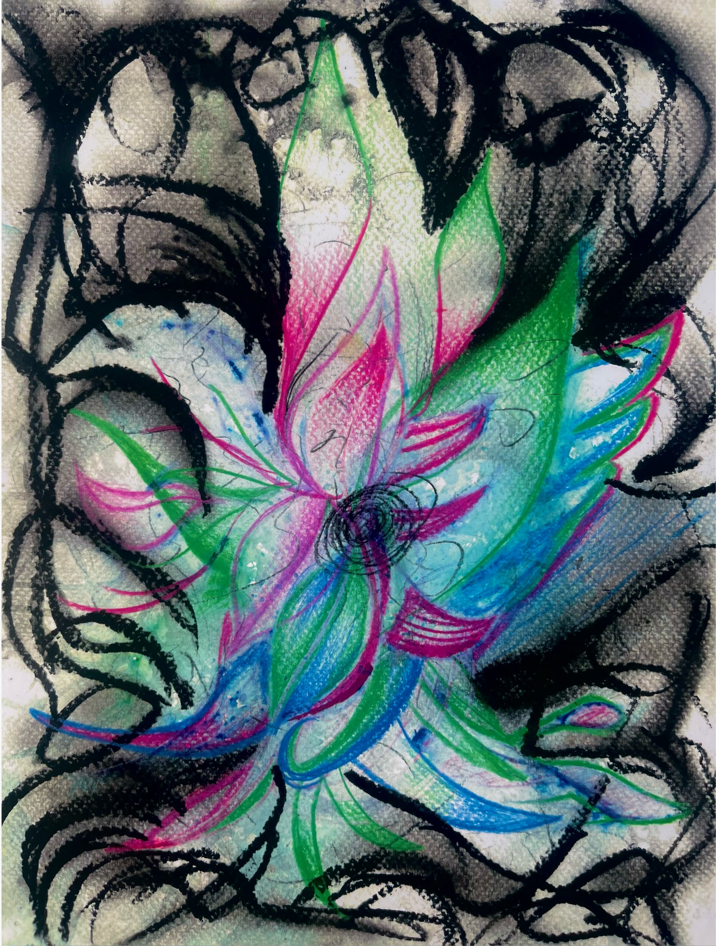 “Lotus From Darkness” (Print)